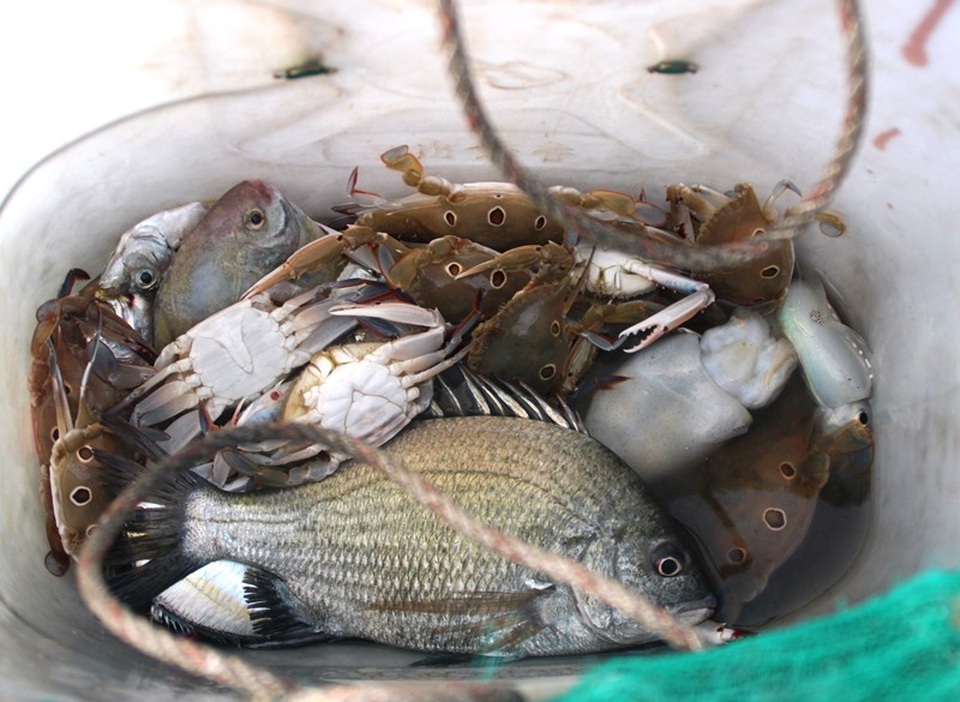 Làng lưới thúng trúng đậm ngày giáp Tết - 7