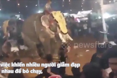 Khoảnh khắc voi bất ngờ nổi điên, tấn công người trong lễ hội