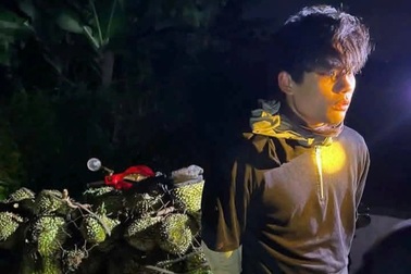 Thanh niên Hải Phòng trộm sầu riêng, cúi đầu xin lỗi nông dân khi bị bắt