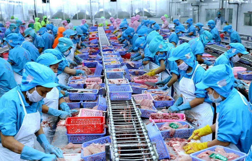 Cá tra Việt Nam lần đầu góp mặt trong thực đơn sushi Nhật Bản - 2 Cá tra Việt Nam lần đầu góp mặt trong thực đơn sushi Nhật Bản - 2
