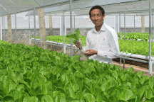 Bị kêu "khùng" khi bỏ lương 25 triệu đồng/tháng để khởi nghiệp giải pháp trồng rau sạch