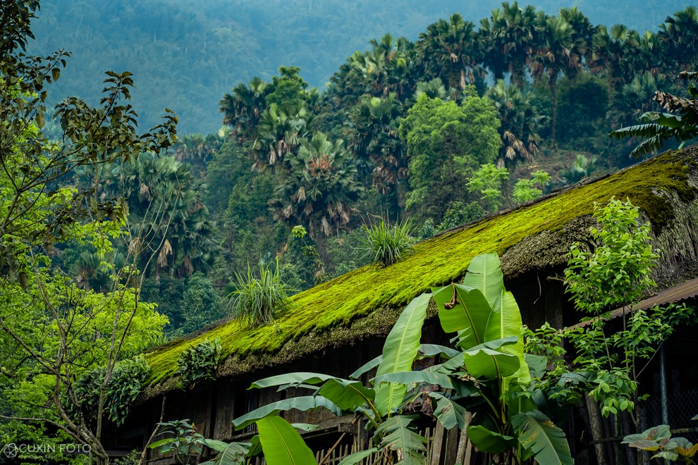 Khung cảnh yên bình, đẹp như tranh nơi bản làng ở Hà Giang - 8 Khung cảnh yên bình, đẹp như tranh nơi bản làng ở Hà Giang - 8