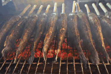 Chuyện bán cá lóc ngày Thần tài của những hộ 10-20 năm kinh nghiệm