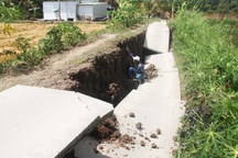 Hạn hán khốc liệt, Cà Mau công bố tình huống khẩn cấp