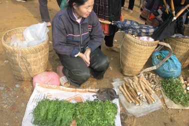 Đặc sản rau rừng Tây Bắc đắt hơn cả thịt cá