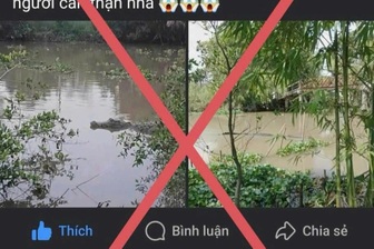 Thực hư chuyện cá sấu xuất hiện trên kênh ở Cần Thơ