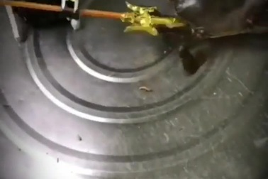 Màn “đại chiến” giữa robot và… cua