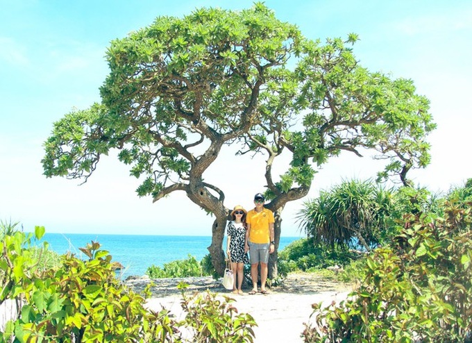 Bịch cháo trắng miễn phí và tình người ở huyện đảo Lý Sơn: Người dân hiếu khách, cảnh đẹp hoang sơ, hải sản tươi rói, ngại ngần chi mà chưa xách balo lên! - Ảnh 14. Bịch cháo trắng miễn phí và tình người ở huyện đảo Lý Sơn: Người dân hiếu khách, cảnh đẹp hoang sơ, hải sản tươi rói, ngại ngần chi mà chưa xách balo lên! - Ảnh 14.