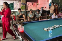 Ngồi ở Vĩnh Long tham gia cá cược đá gà với nhà cái tại Campuchia