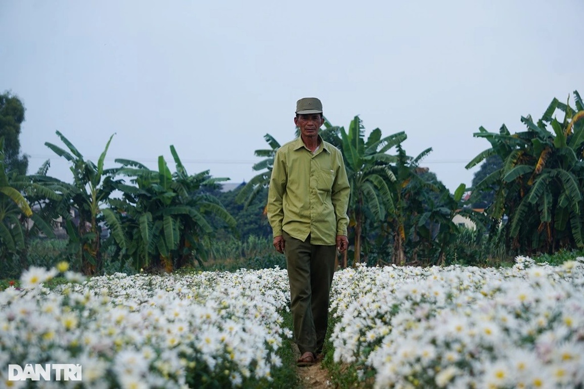 Cán bộ công an về hưu kiếm tiền triệu mỗi ngày từ cánh đồng hoa ven sông - 2 Cán bộ công an về hưu kiếm tiền triệu mỗi ngày từ cánh đồng hoa ven sông - 2