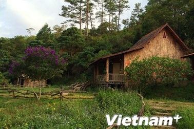 Lần tìm lại tung tích làng Cù Lần giữa thời “vật đổi sao dời”