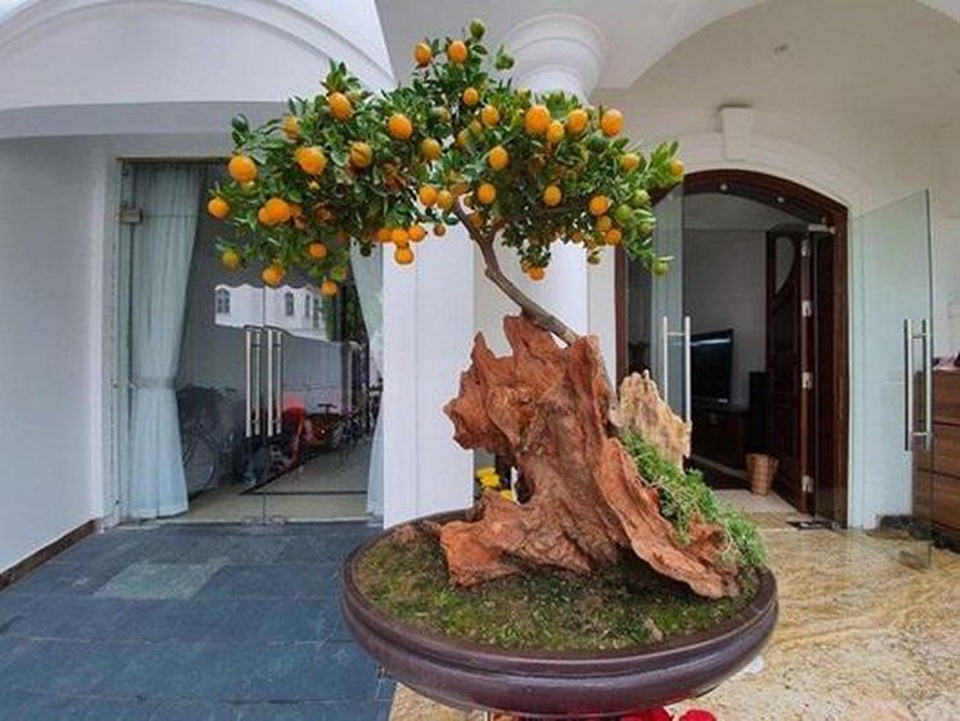 Sao Việt trang hoàng biệt thự, căn hộ rực rỡ đón Tết Canh Tý - 4 Sao Việt trang hoàng biệt thự, căn hộ rực rỡ đón Tết Canh Tý - 4
