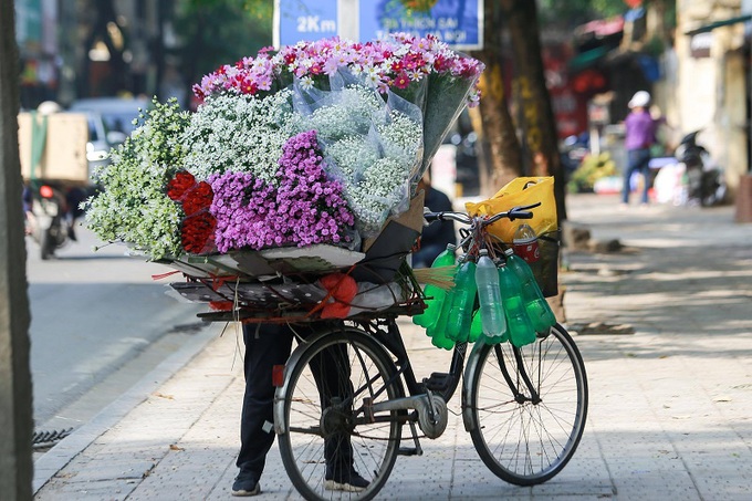 Hà Nội: Họa mi về phố - Ảnh 5. Hà Nội: Họa mi về phố - Ảnh 5.
