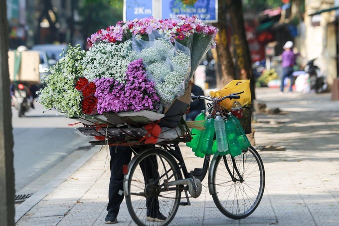 Hà Nội: Họa mi về phố - Ảnh 5.