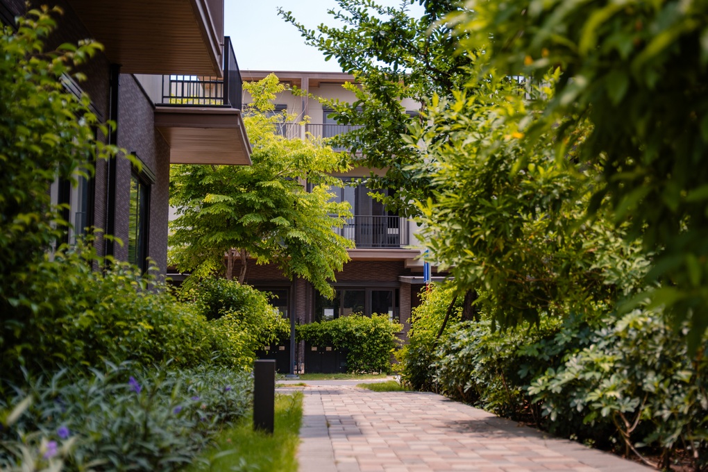 Izumi City kiến tạo cộng đồng quốc tế, mở lối sống toàn cầu bên dòng Đồng Nai - 4