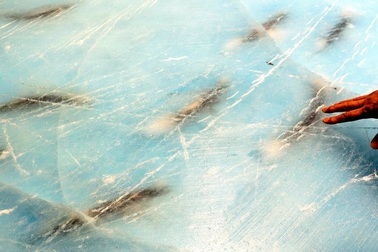 "Choáng" với sân băng dùng hàng nghìn con cá thật để trang trí