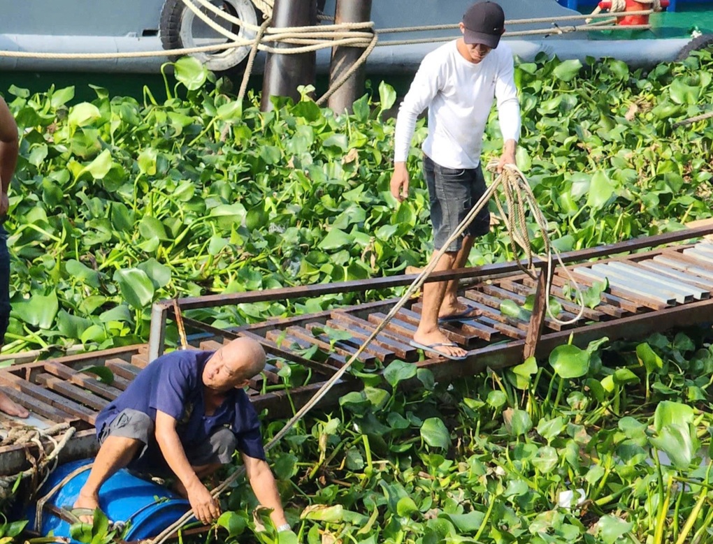 Đi tập thể dục phát hiện thi thể nổi trên sông Tiền - 1