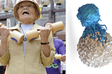 “Thuốc trường sinh” vốn dĩ đã nằm ngay bên trong cơ thể chúng ta?