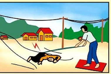 Tọa đàm: "An toàn điện, những điều cần biết"