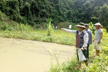 Quảng Nam phấn đấu giảm từ 2.000 hộ nghèo trong năm 2021