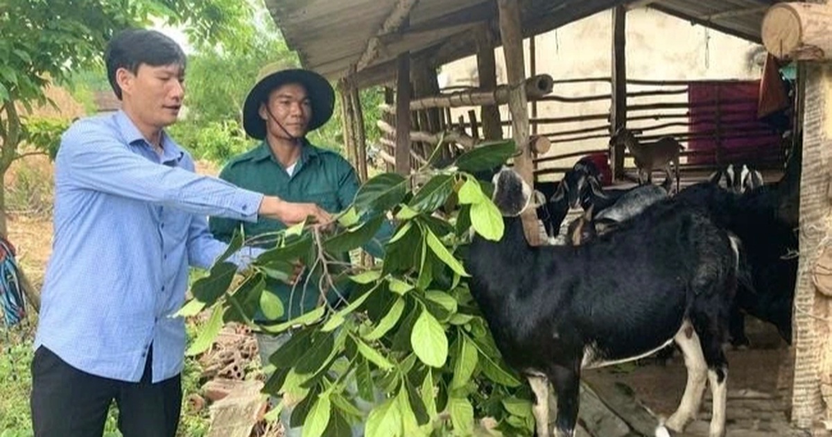 Truyền thông đa chiều Đòn bẩy giảm nghèo bền vững ở Quảng Ninh Báo Truyền thông đa chiều Đòn bẩy giảm nghèo bền vững ở Quảng Ninh Báo