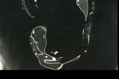 “Salon Ánh Sáng” - triển lãm những kỹ thuật nhiếp ảnh mới bởi nghệ sĩ trẻ