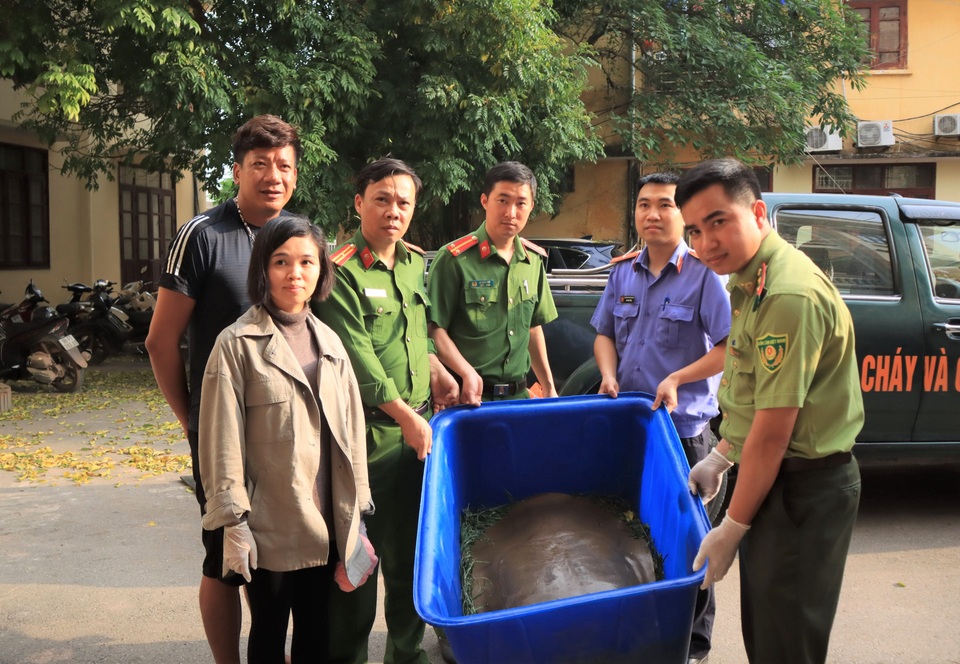 Cứu hộ cá thể Giải khủng nhất từ trước đến nay - 1 Cứu hộ cá thể Giải khủng nhất từ trước đến nay - 1