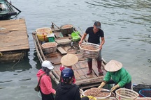 Triển khai gói hỗ trợ 26.000 tỷ đồng: Không để bị trục lợi chính sách