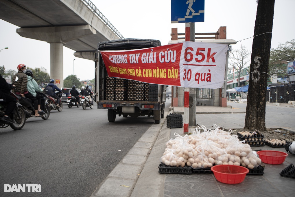 Đến trứng gà cũng Đến trứng gà cũng