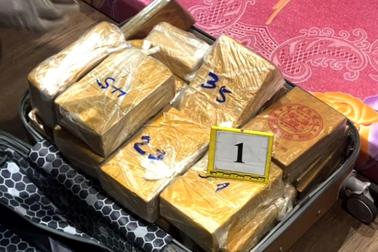 Nhiều vali chứa 184 bánh heroin trong căn hộ cho thuê ở TPHCM