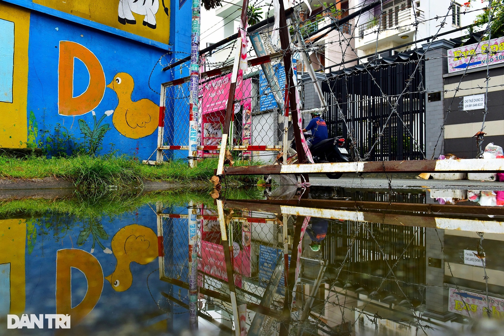 Hàng rào bịt kín hẻm ở Sài Gòn.jpeg