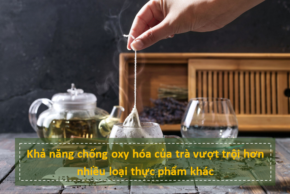 Những sự thật bất ngờ về khả năng chống ung thư của nước trà - 2 Những sự thật bất ngờ về khả năng chống ung thư của nước trà - 2