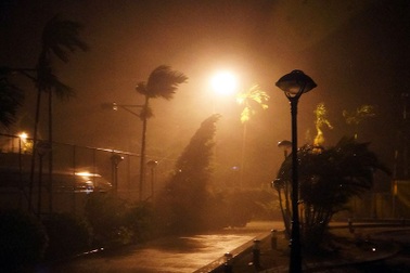 Bão quần thảo Đồ Sơn, cây cối xiêu vẹo trong gió lớn