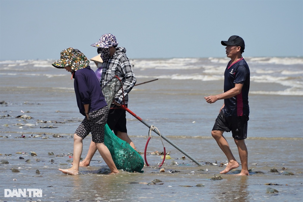 Vật lộn với sóng dữ gom lộc trời, kiếm tiền triệu mỗi ngày - 4 Vật lộn với sóng dữ gom lộc trời, kiếm tiền triệu mỗi ngày - 4