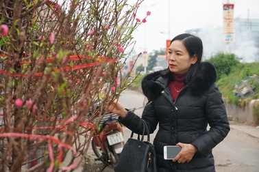 Đào Nhật Tân xuống phố sớm, người Hà Nội thích thú mua đào đón... Noel