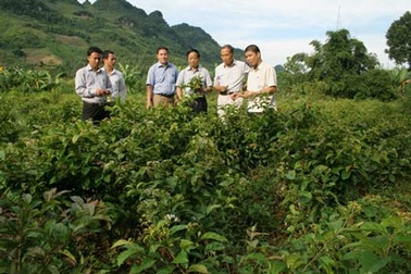 TPCN Ancan có tác dụng gì?