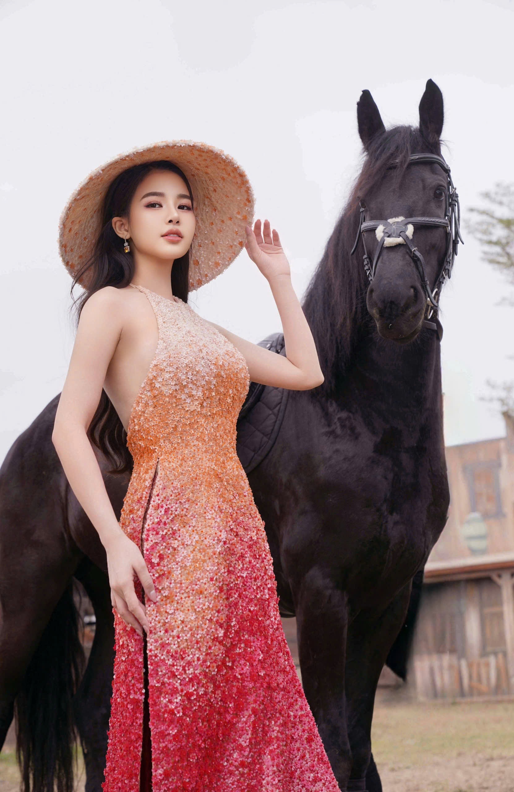 Nhan sắc Á hậu Hoàn cầu Hà Trang ngày càng rạng rỡ - 2