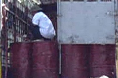 Vụ chặn xe thuốc trừ sâu: Người dân tự “khai quật” các thùng hóa chất