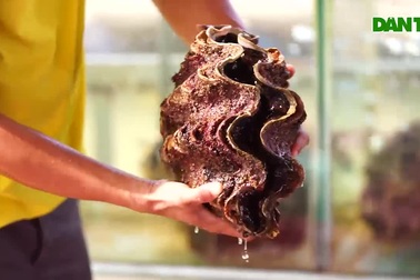 Khám phá chợ đêm Phú Quốc và làng chài Hàm Ninh