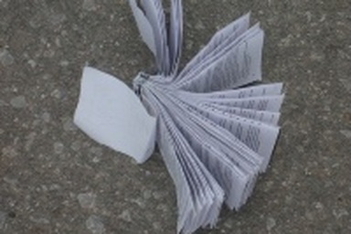 Tan môn Sử, “phao” trắng trường thi