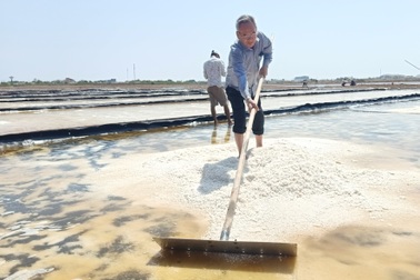 Bí thư Bạc Liêu xuống đồng cào muối cùng diêm dân