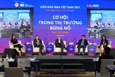 M&A và tham vọng của doanh nghiệp bất động sản ngoại