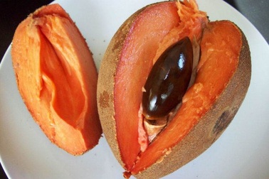 Hồng xiêm ruột đỏ "khổng lồ" 2kg/quả, giá gần triệu đồng/cây giống có gì đặc biệt?