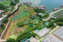 Cận cảnh Thung lũng hoa Hồ Tây “mọc” trái phép trên đất dự án