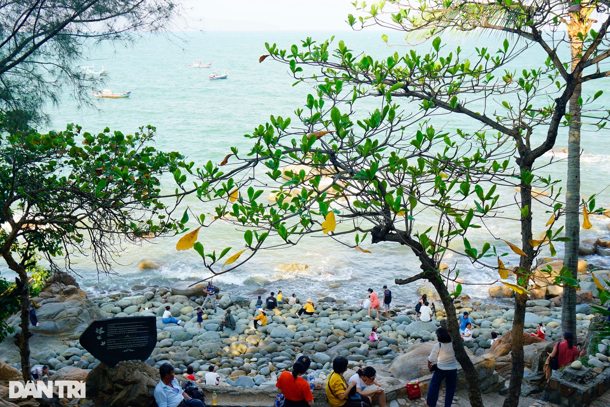 View - Bãi đá tròn như tổ trứng chim khổng lồ ở Quy Nhơn hút khách check-in | Báo Dân trí