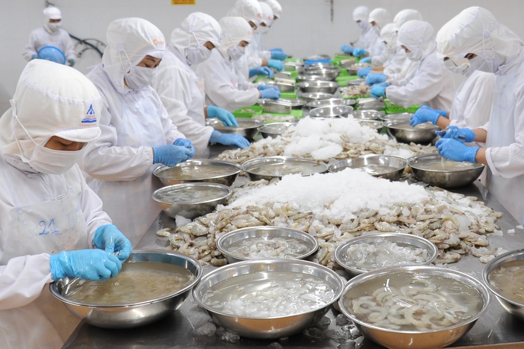 Trung Quốc siết nhập khẩu thủy sản, cơ hội nào vào thị trường tỷ dân? - 3 Trung Quốc siết nhập khẩu thủy sản, cơ hội nào vào thị trường tỷ dân? - 3