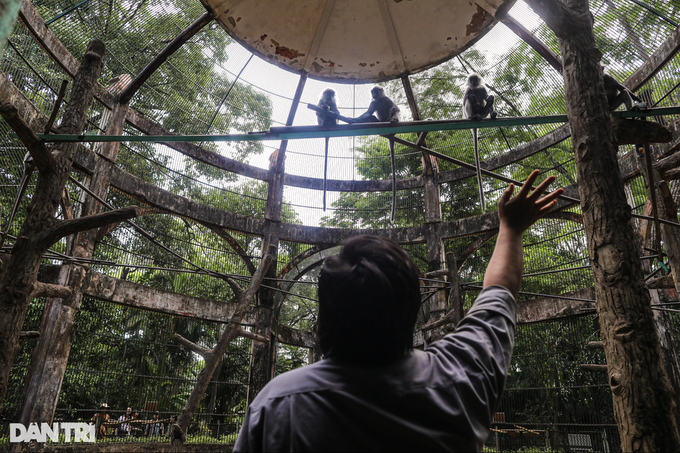 មន្ទីរធនធានធម្មជាតិ និងបរិស្ថានទីក្រុងហូជីមិញ មិនទាន់ទទួលបានពាក្យសុំពីសួនសត្វ Saigon និងសួនរុក្ខសាស្ត្រទេ - 1 Sở TNMT TPHCM chưa nhận được hồ sơ của Thảo Cầm Viên Sài Gòn - 1