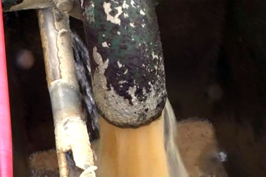 Nhà máy nước sạch lao đao vì dự án chăn nuôi bò "khủng" nhất miền Trung