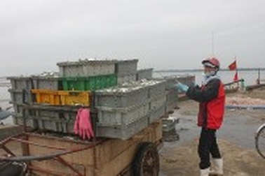 Ngư dân phấn khởi đón "lộc biển" đầu năm