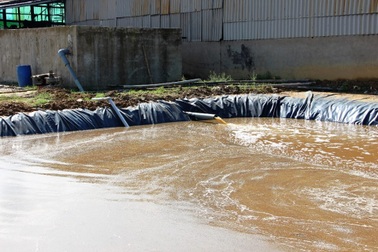 Nhiều cơ sở chế biến nông, lâm sản là “thủ phạm” gây ô nhiễm môi trường